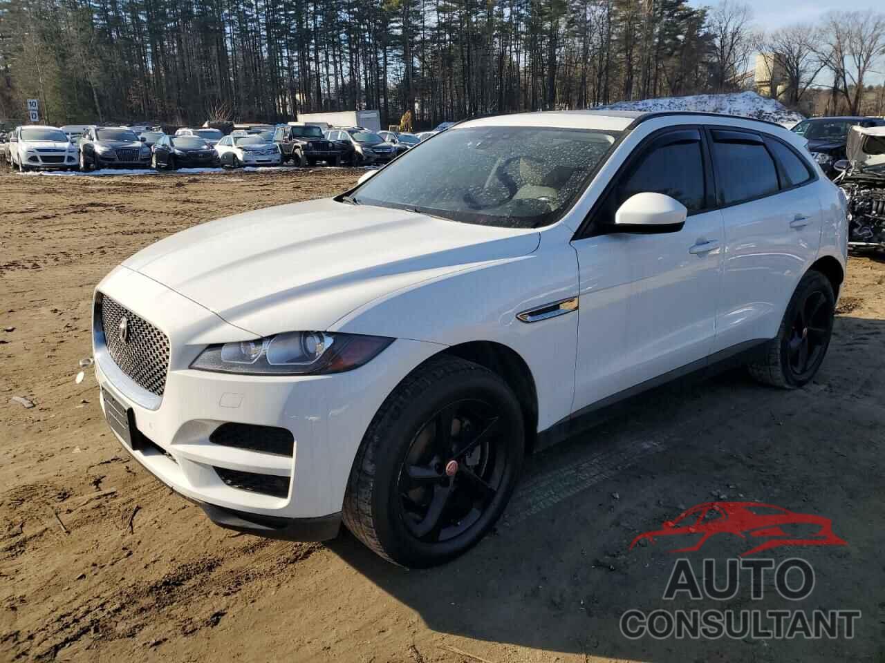 JAGUAR F-PACE 2017 - SADCJ2BN4HA494677