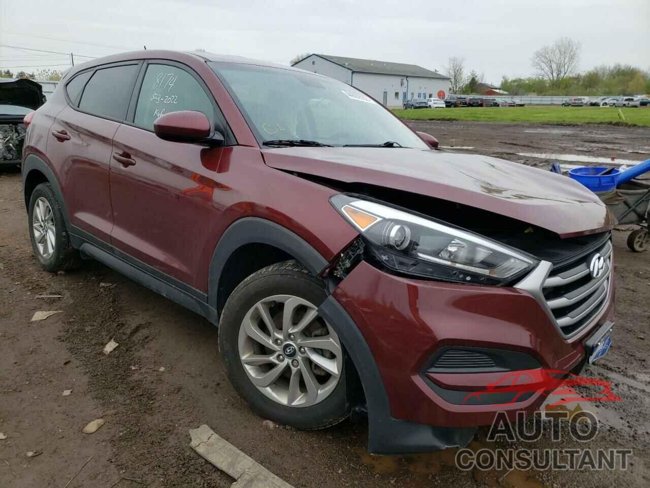 HYUNDAI TUCSON 2017 - KM8J23A49HU411284