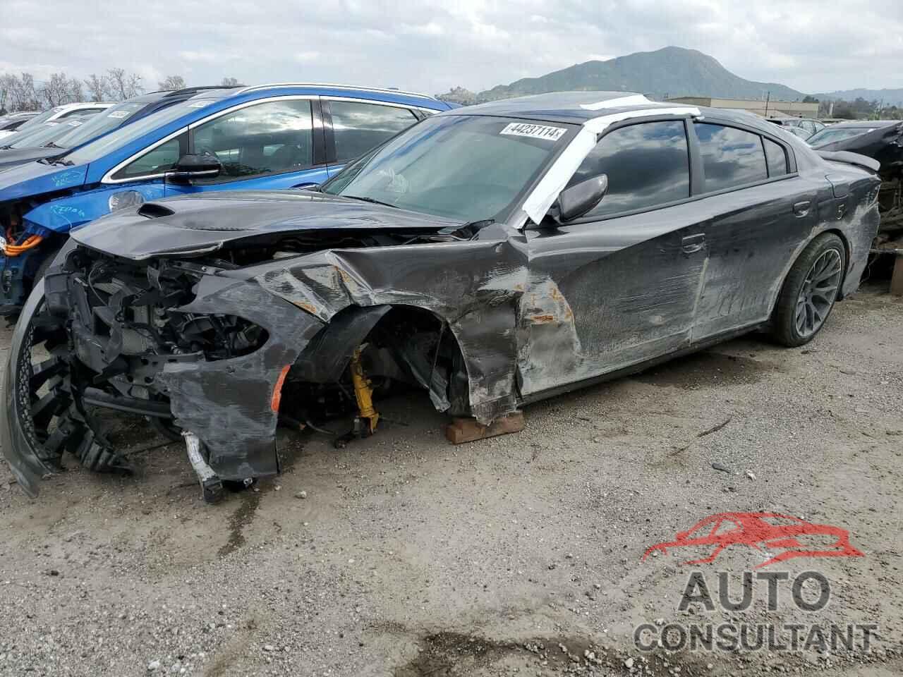 DODGE CHARGER 2019 - 2C3CDXL94KH618915