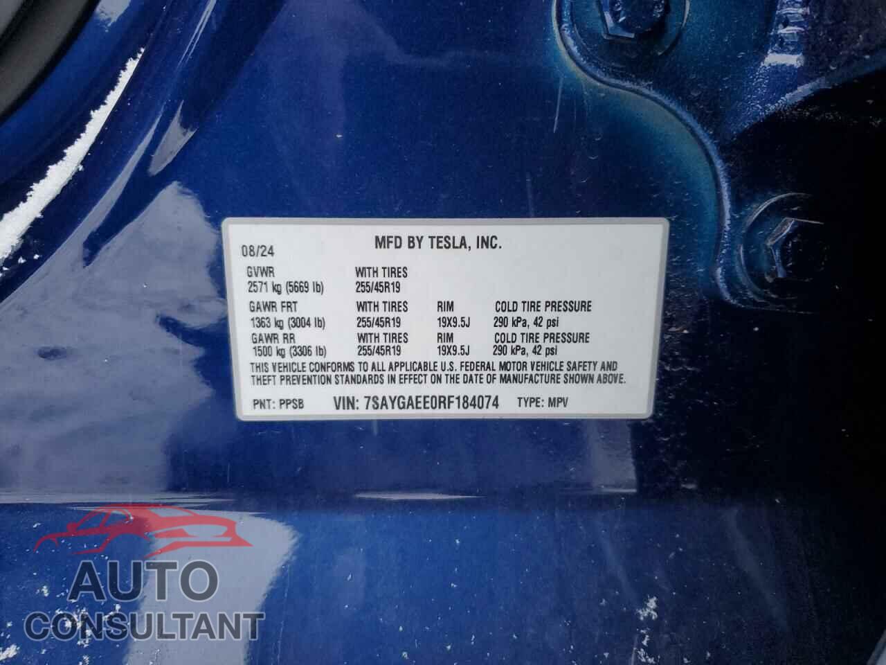 TESLA MODEL Y 2024 - 7SAYGAEE0RF184074