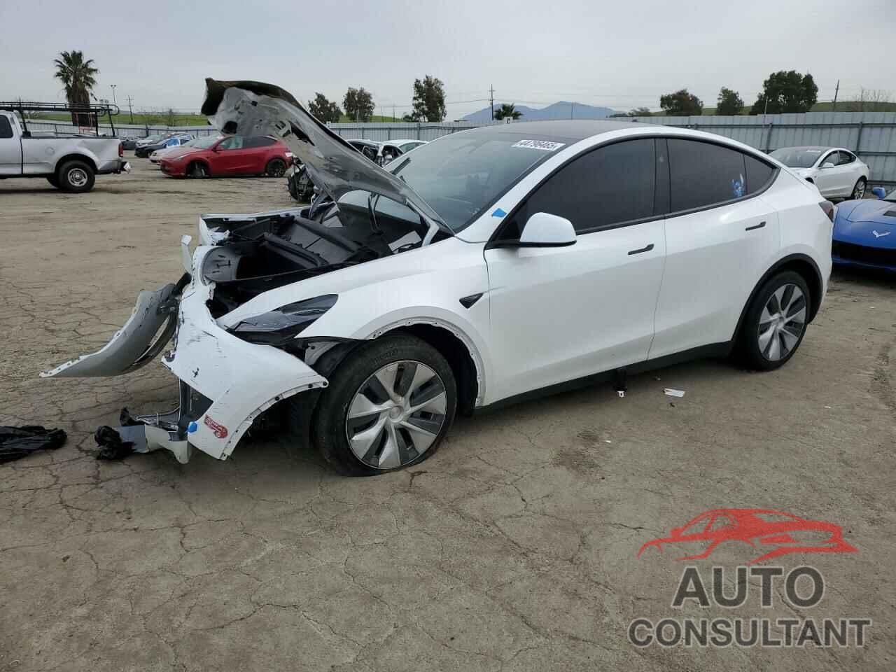 TESLA MODEL Y 2024 - 7SAYGDEE4RF070760