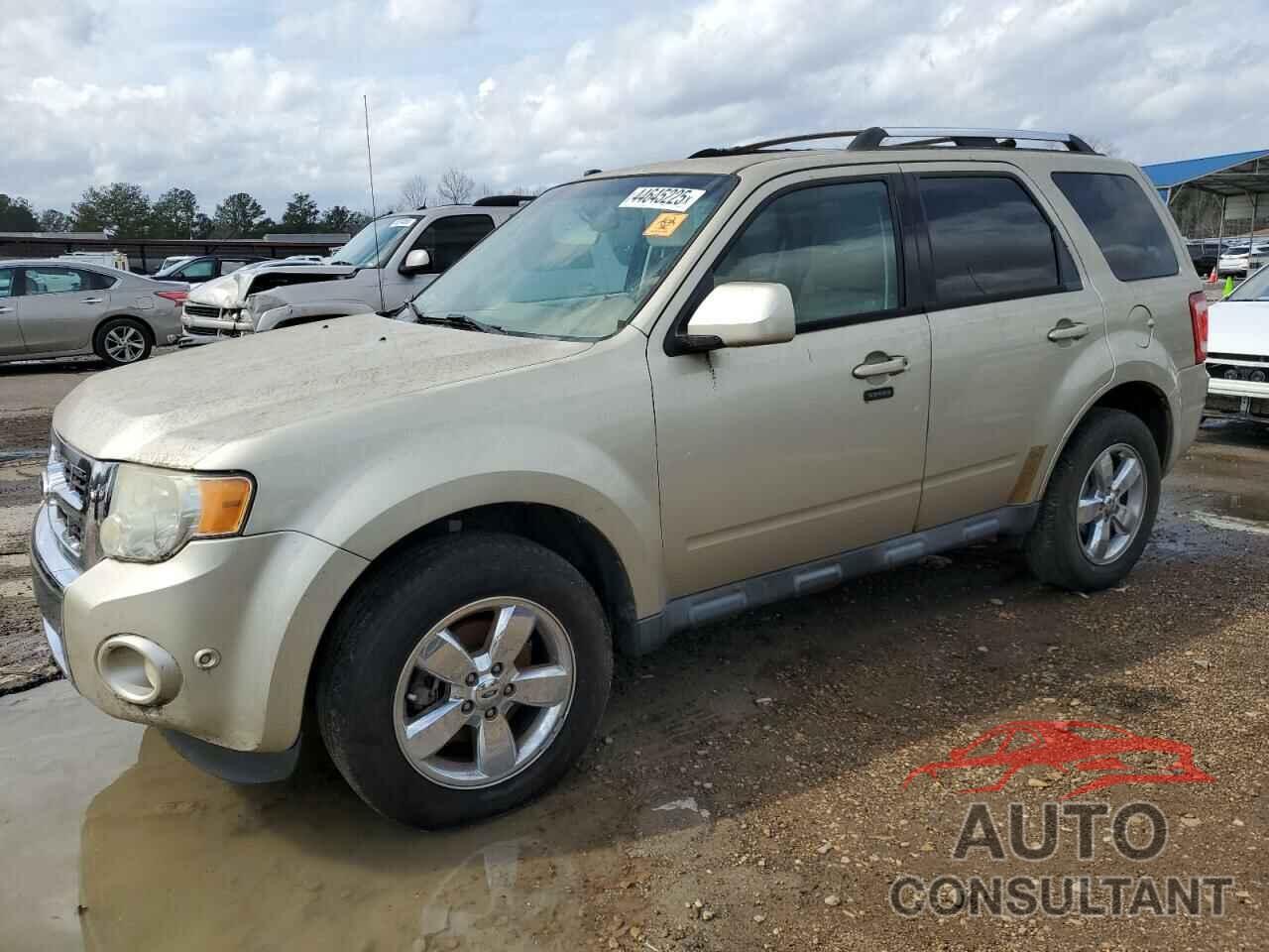 FORD ESCAPE 2011 - 1FMCU0EGXBKB28496