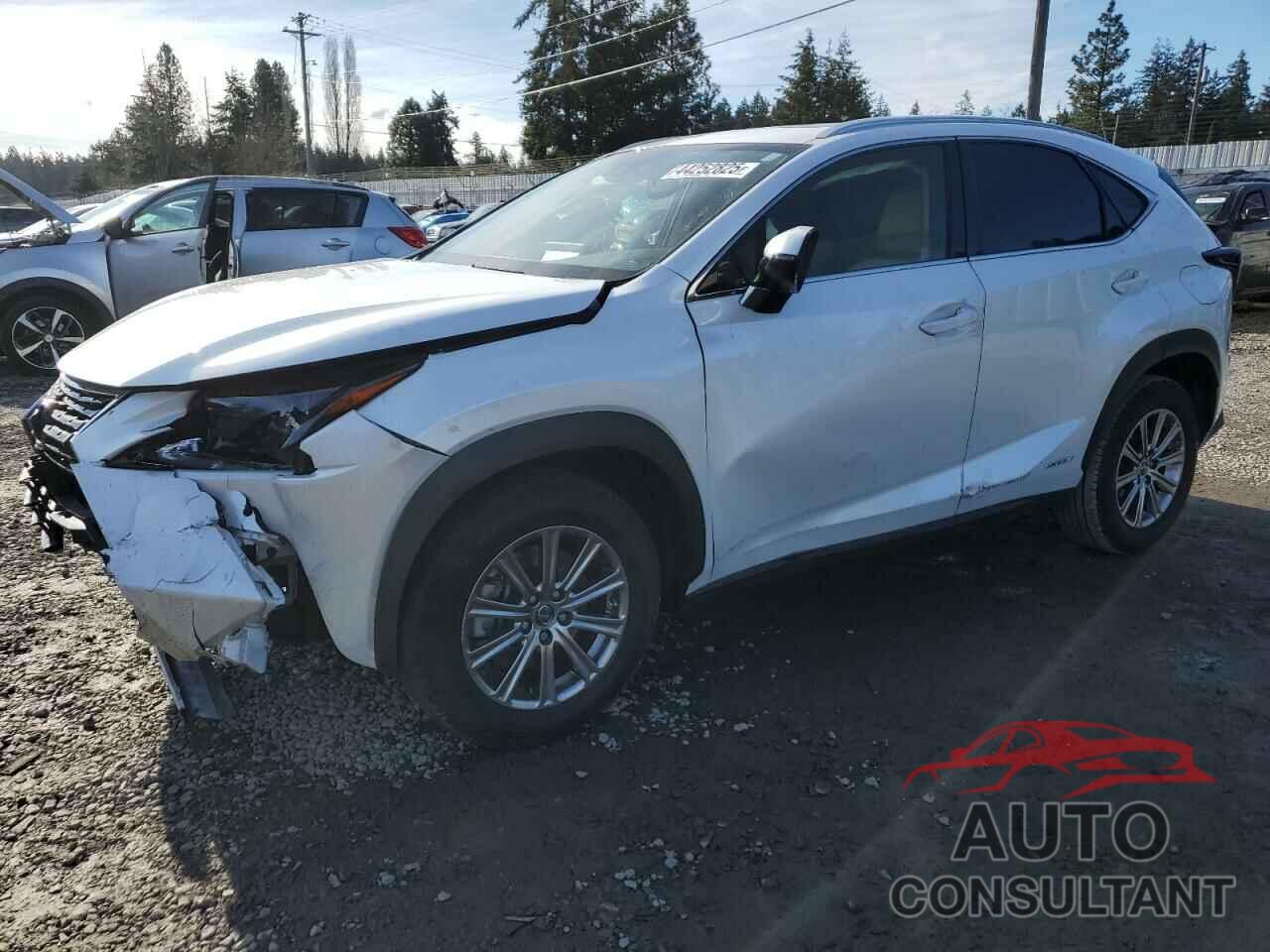 LEXUS NX 2021 - JTJDJRDZXM2166755