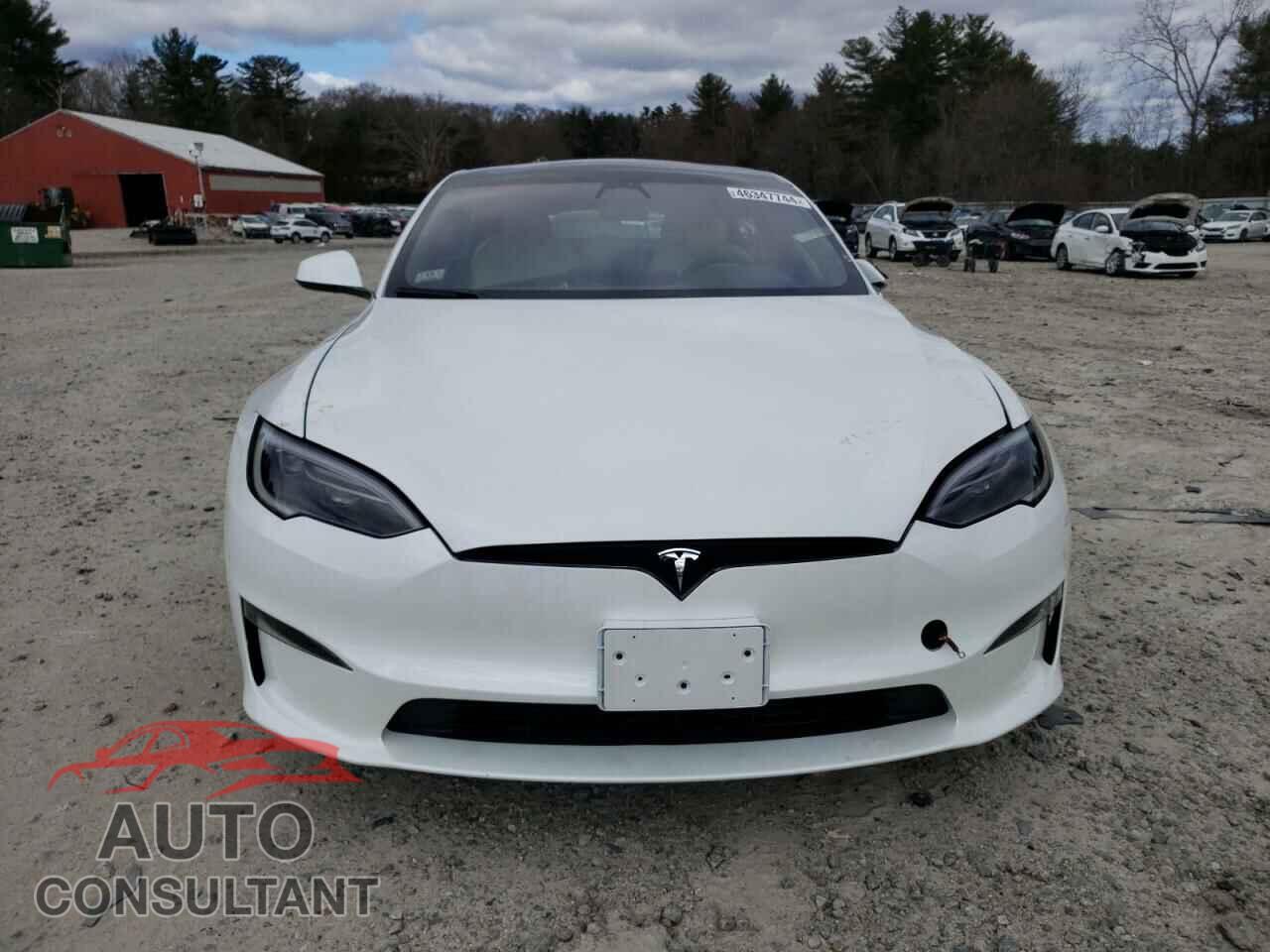 TESLA MODEL S 2023 - 5YJSA1E59PF528504