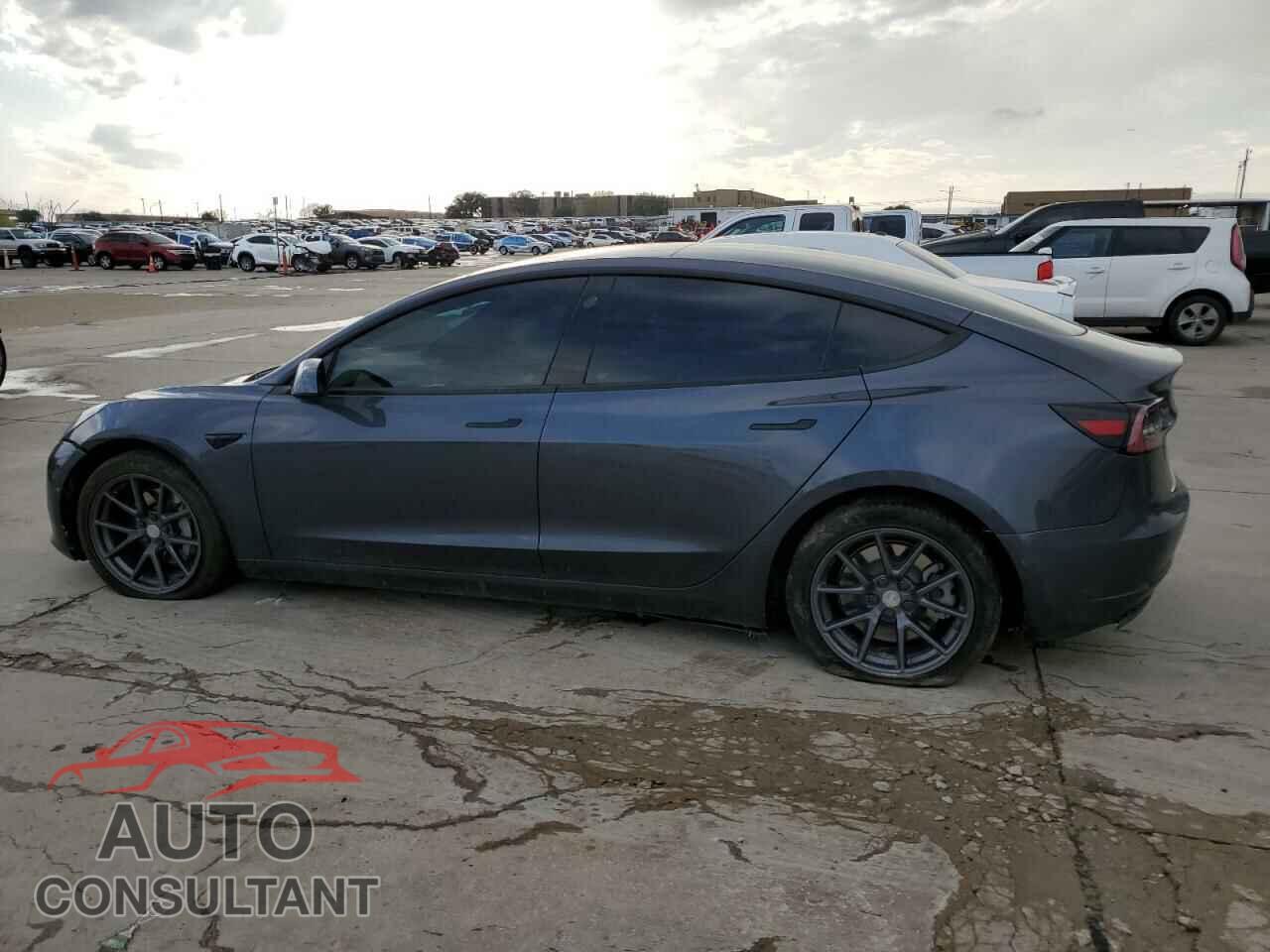 TESLA MODEL 3 2021 - 5YJ3E1EB7MF988075