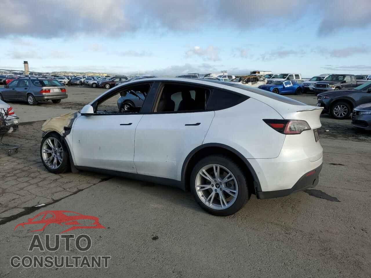 TESLA MODEL Y 2020 - 5YJYGDEE2LF013753