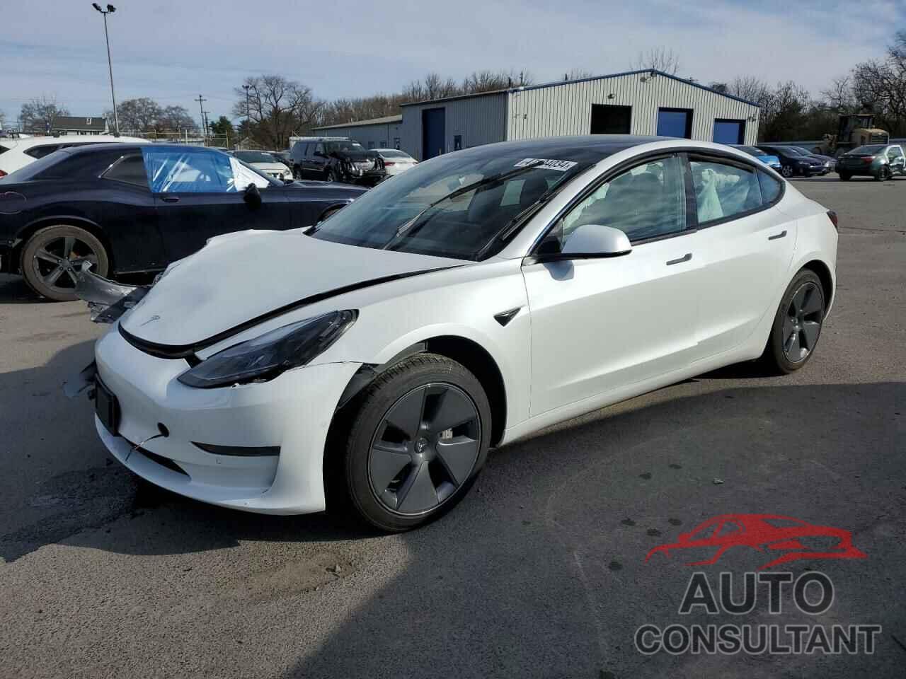 TESLA MODEL 3 2021 - 5YJ3E1EAXMF088035