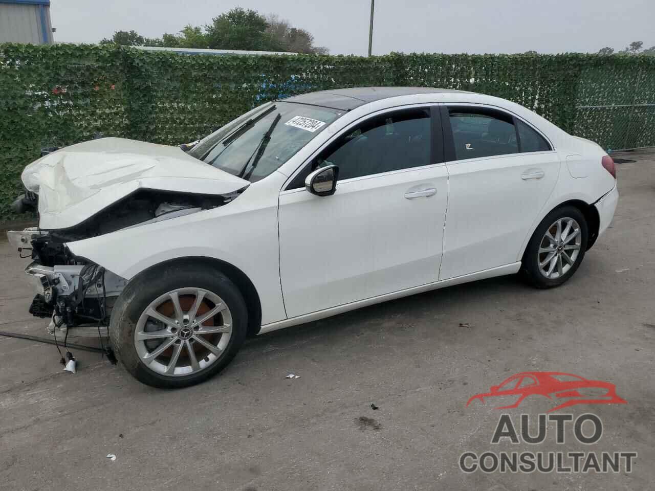 MERCEDES-BENZ A-CLASS 2019 - WDD3G4EB8KW002482