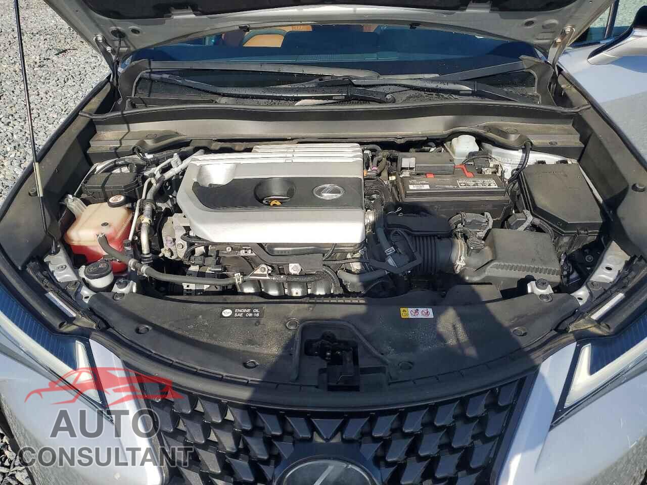 LEXUS UNKNOWN 2019 - JTHY3JBHXK2016702