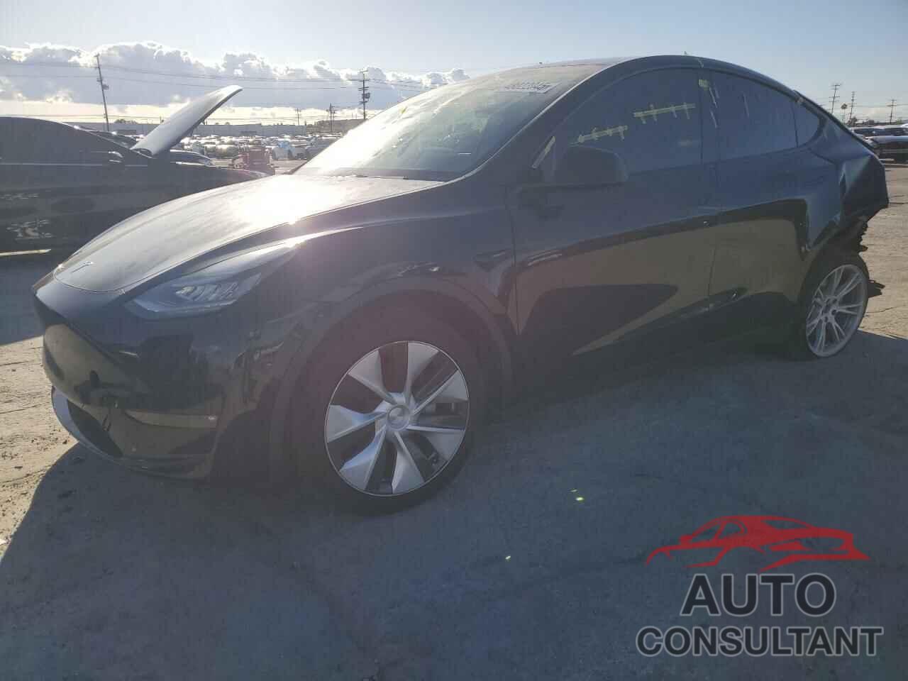 TESLA MODEL Y 2021 - 5YJYGDEE1MF131102