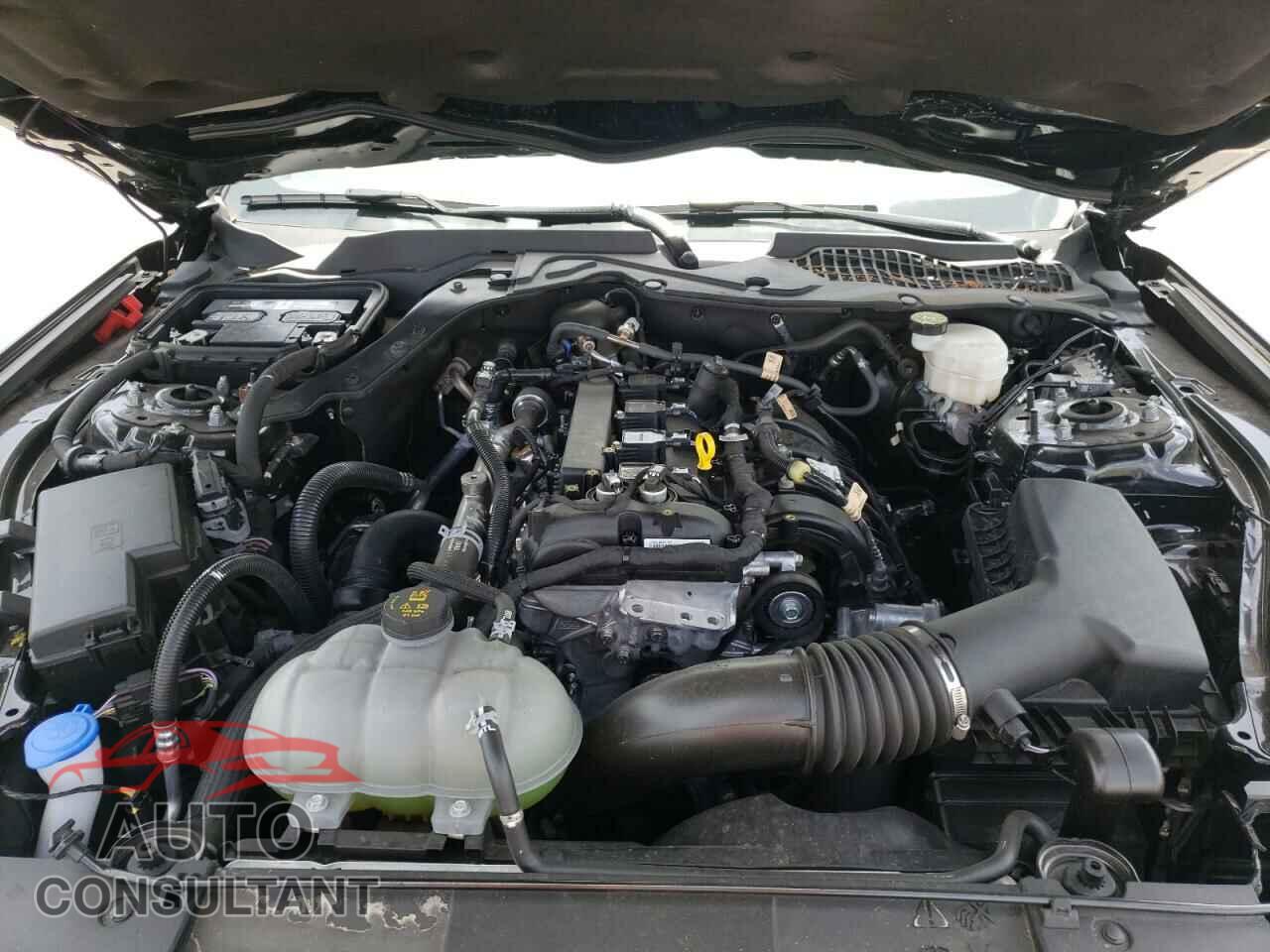 FORD MUSTANG 2021 - 1FA6P8TH4M5118945