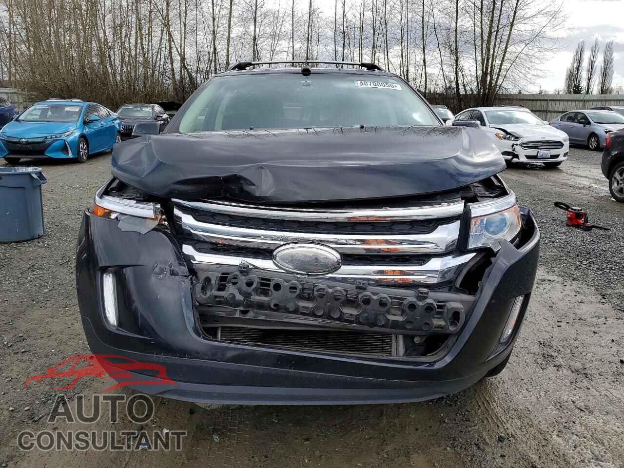 FORD EDGE 2013 - 2FMDK4KC2DBB71682
