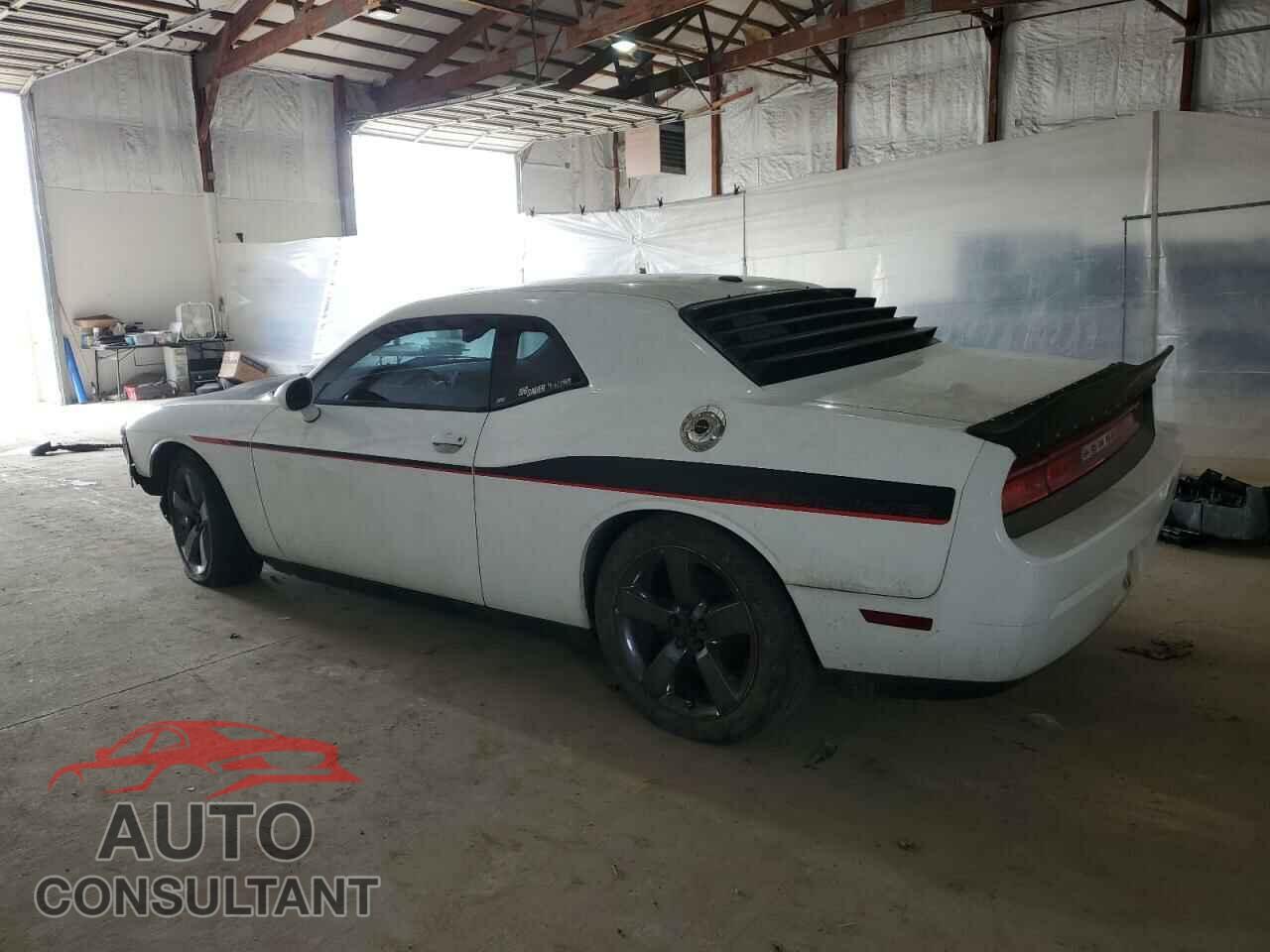 DODGE CHALLENGER 2013 - 2C3CDYBT3DH667917
