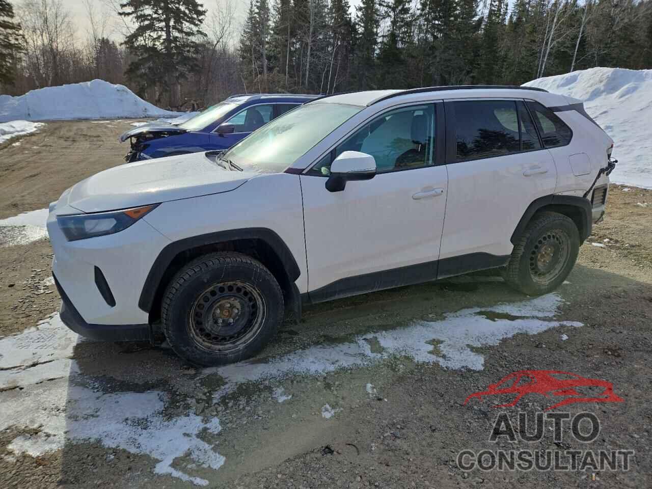 TOYOTA RAV4 2019 - 2T3B1RFVXKC046268