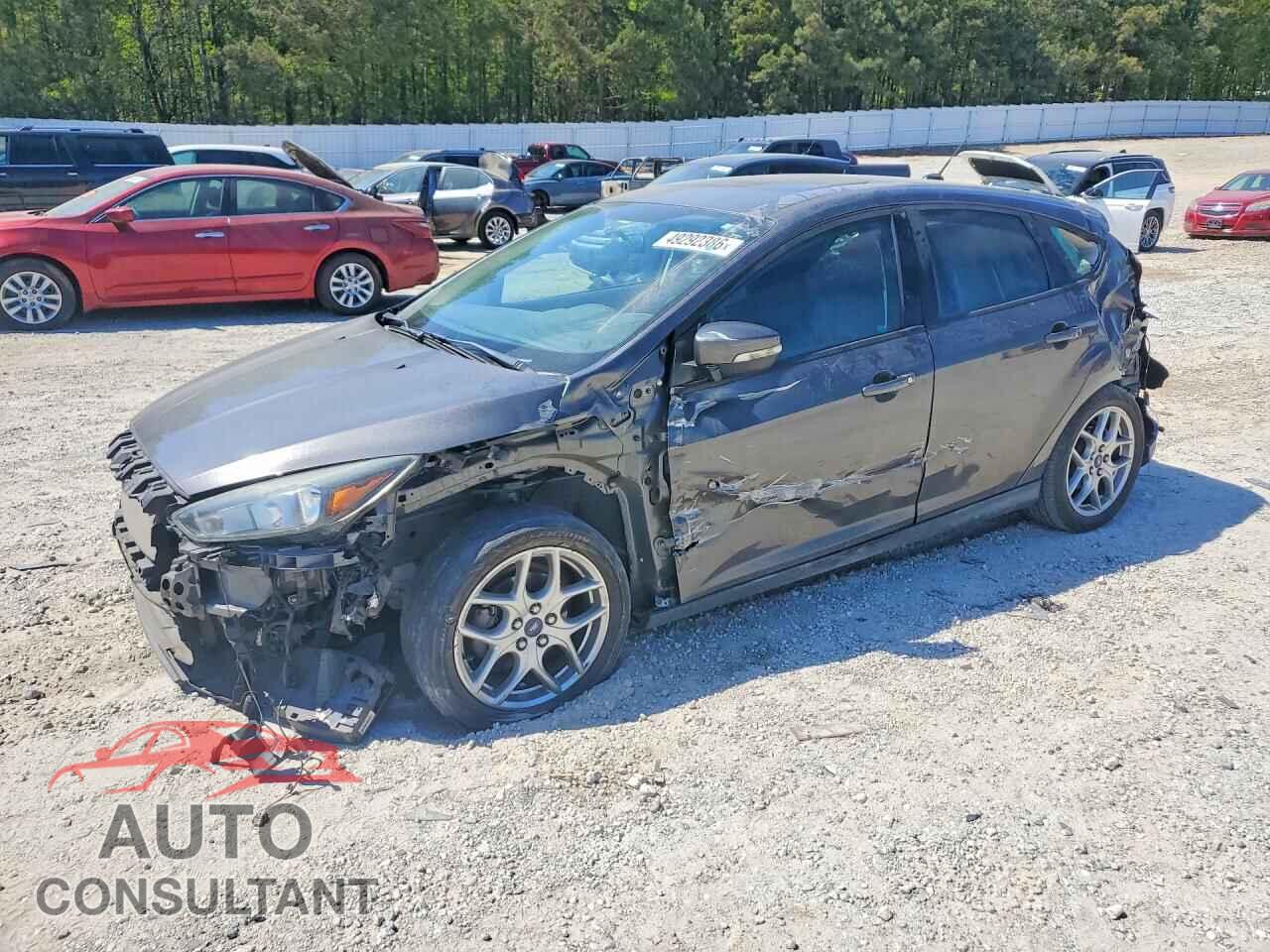 FORD FOCUS 2015 - 1FADP3K2XFL344879