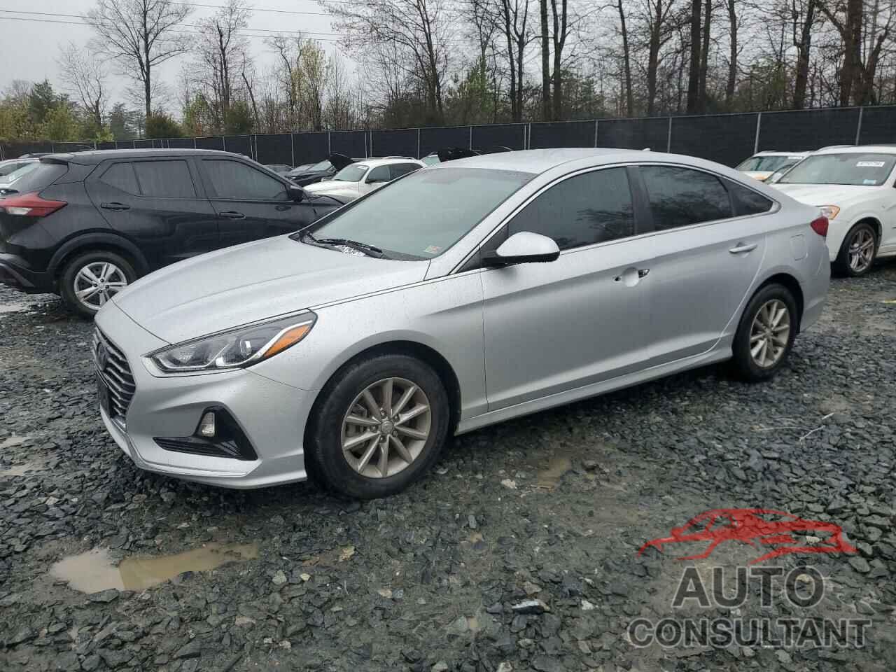 HYUNDAI SONATA 2019 - 5NPE24AF4KH794856