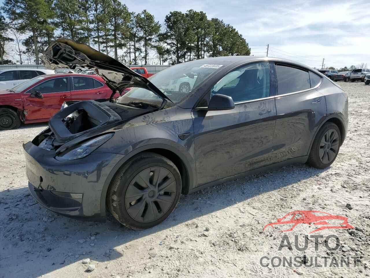 TESLA MODEL Y 2024 - 7SAYGDED8RF113441