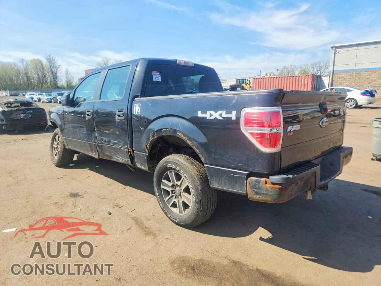 FORD F150 2010 - 1FTEW1E80AFC74239