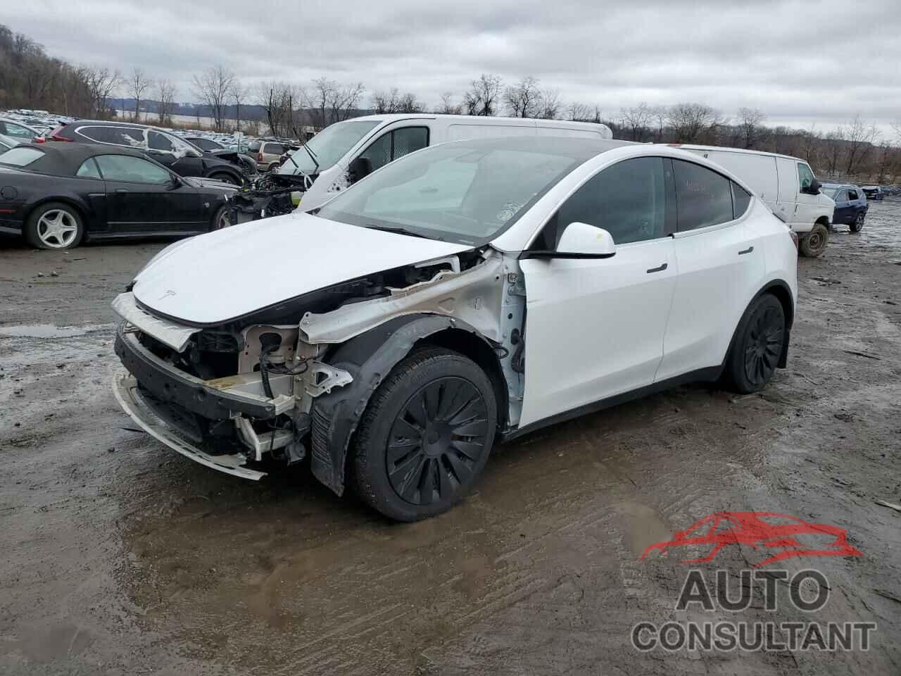 TESLA MODEL Y 2021 - 5YJYGAEE5MF259163