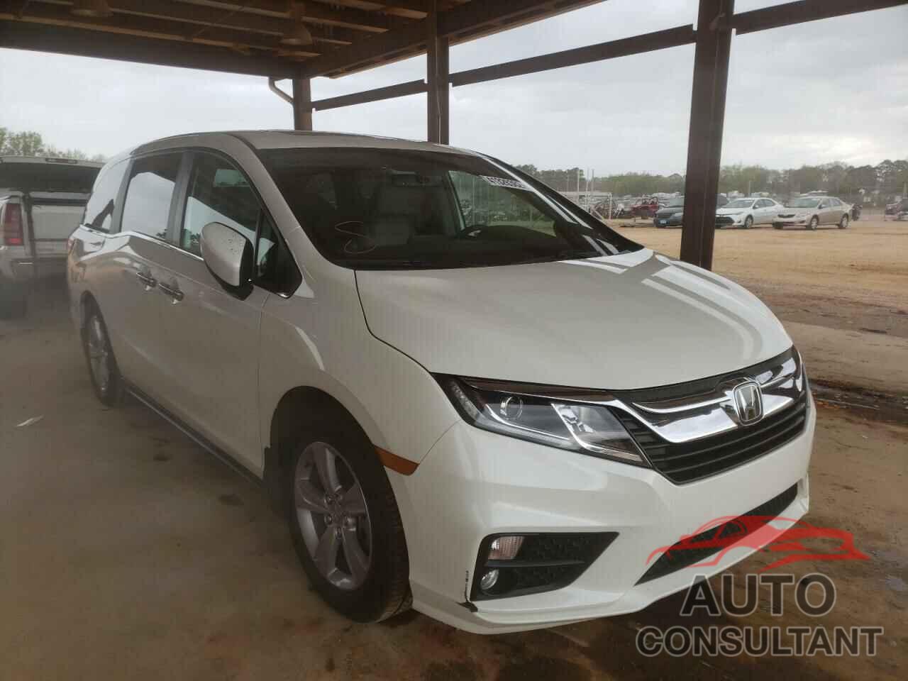 HONDA ODYSSEY 2019 - 5FNRL6H71KB084224