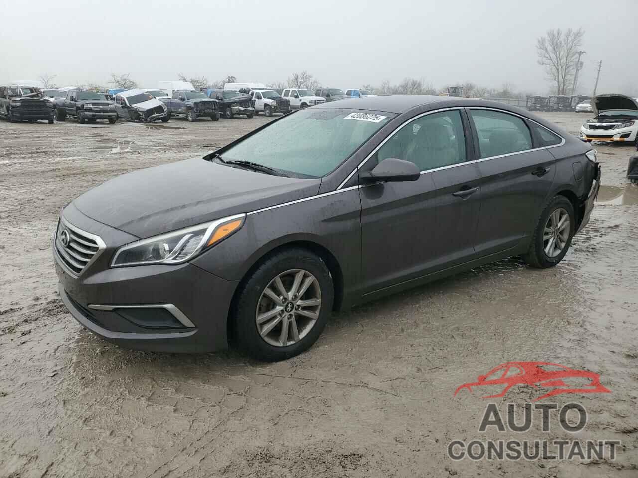 HYUNDAI SONATA 2017 - 5NPE24AF8HH479762