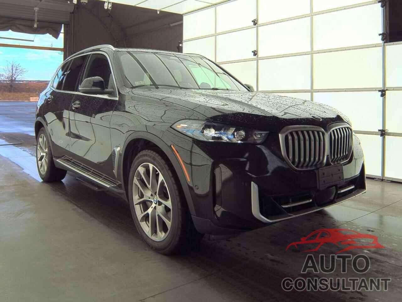 BMW X5 2024 - 5UX23EU04R9T44459