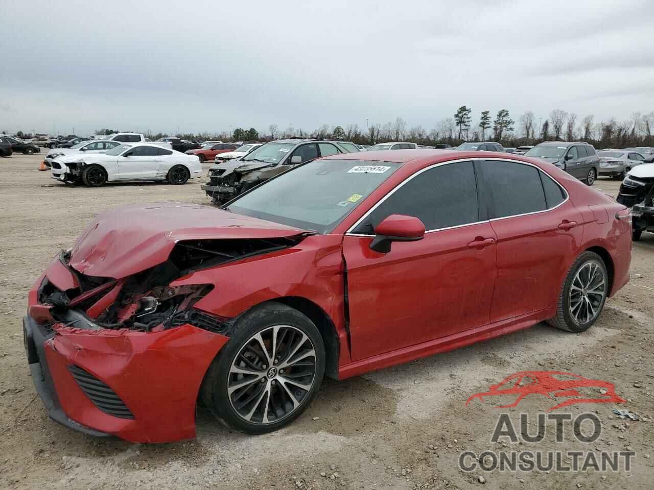 TOYOTA CAMRY 2019 - 4T1B11HK2KU195656