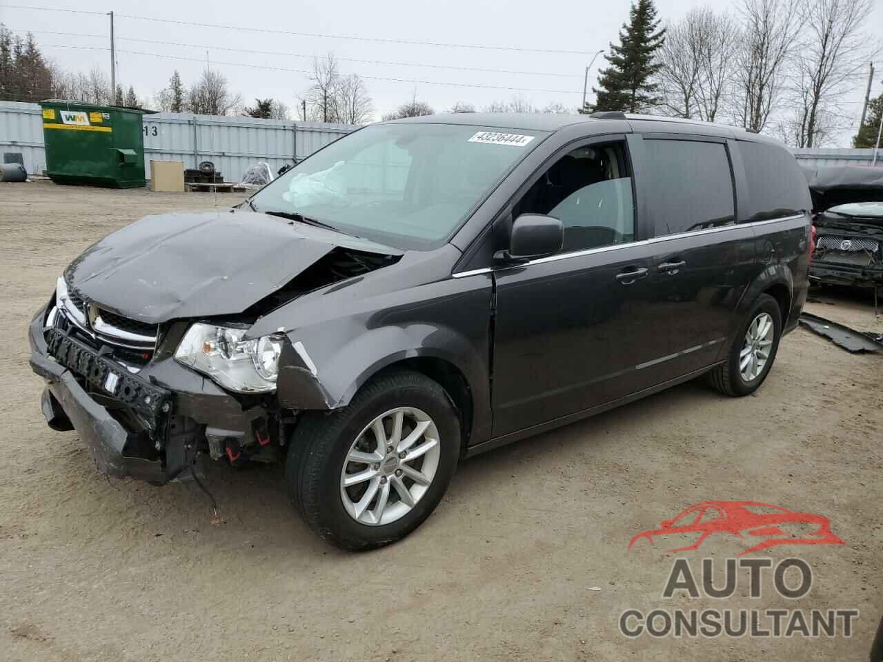 DODGE CARAVAN 2019 - 2C4RDGBG7KR761972