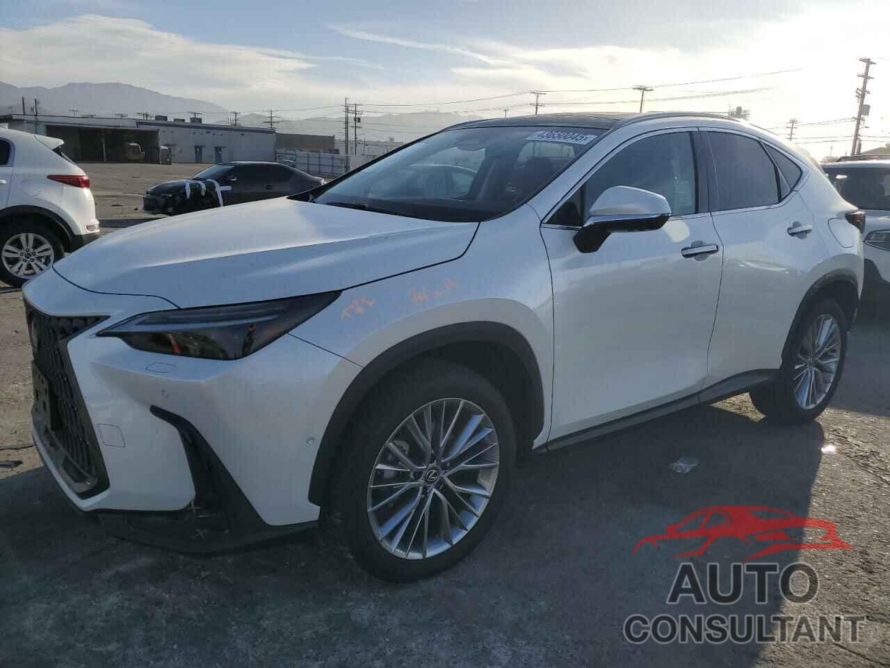 LEXUS NX 350H BA 2024 - JTJHKCEZ9R2025435
