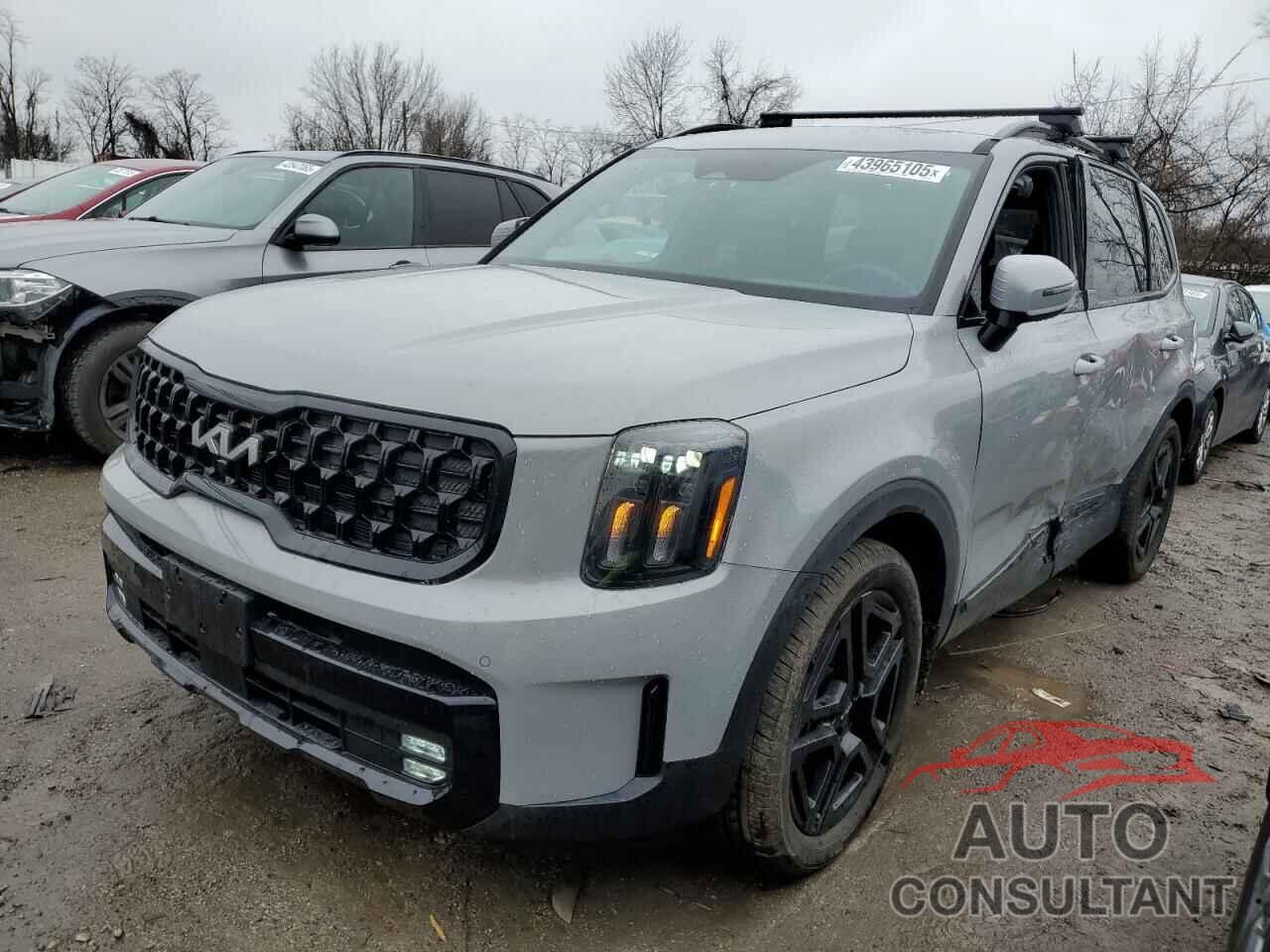 KIA TELLURIDE 2024 - 5XYP5DGC6RG514451
