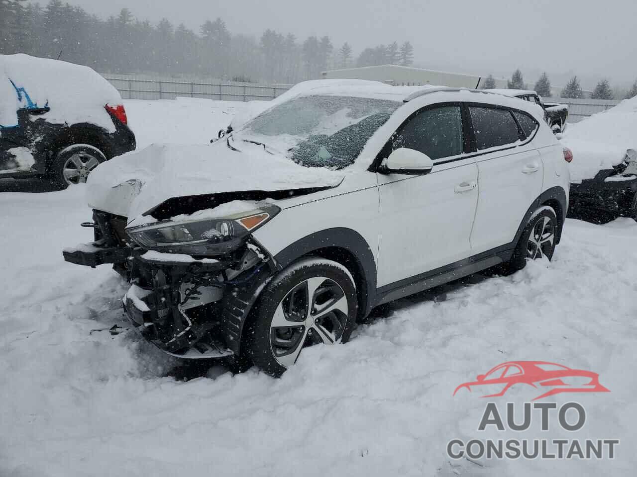 HYUNDAI TUCSON 2017 - KM8J3CA23HU293874