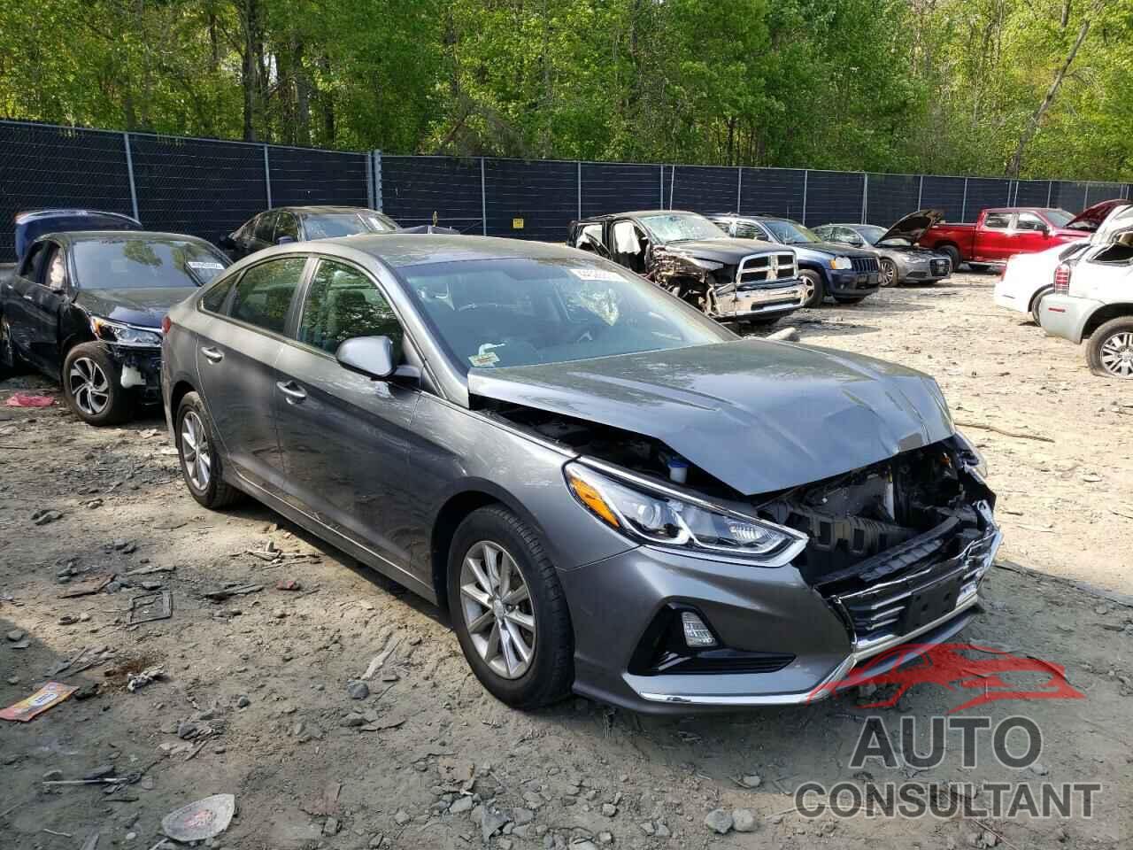 HYUNDAI SONATA 2019 - 5NPE24AF3KH745857