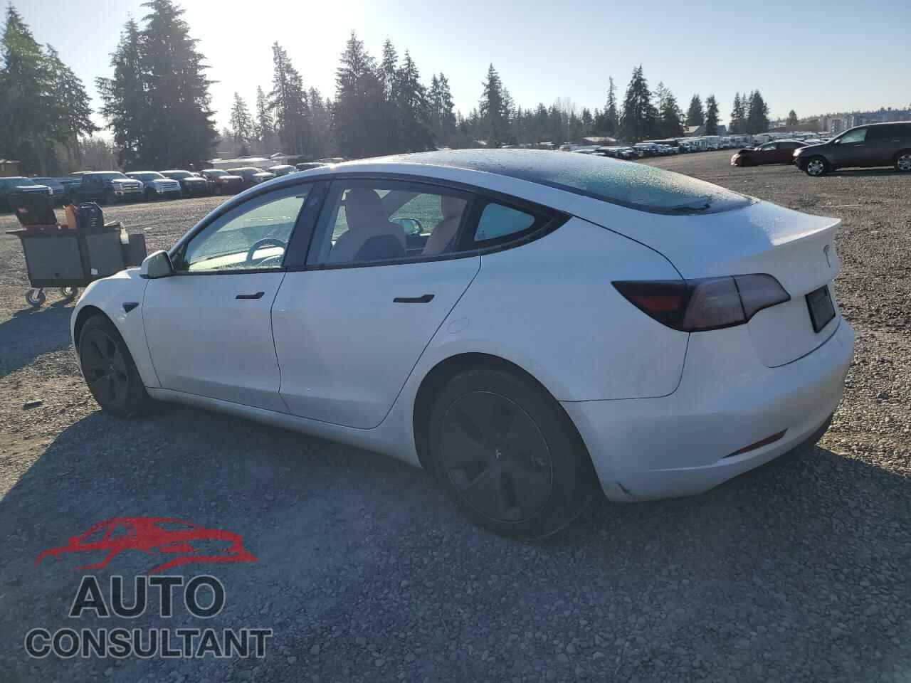 TESLA MODEL 3 2023 - 5YJ3E1EA3PF587618