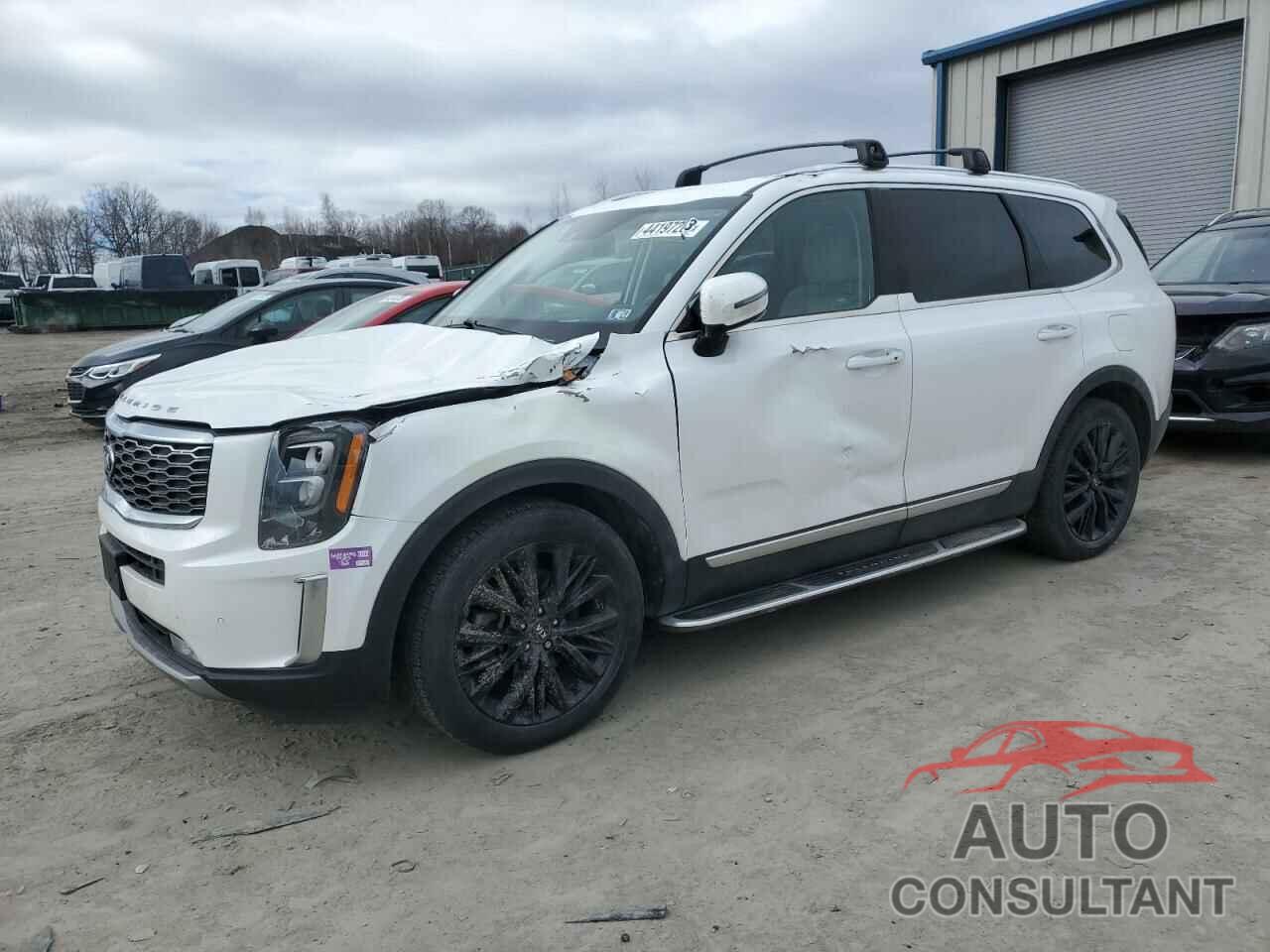 KIA TELLURIDE 2020 - 5XYP5DHC0LG091243