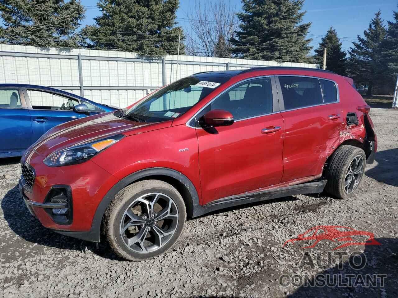 KIA SPORTAGE 2021 - KNDPRCA61M7919477