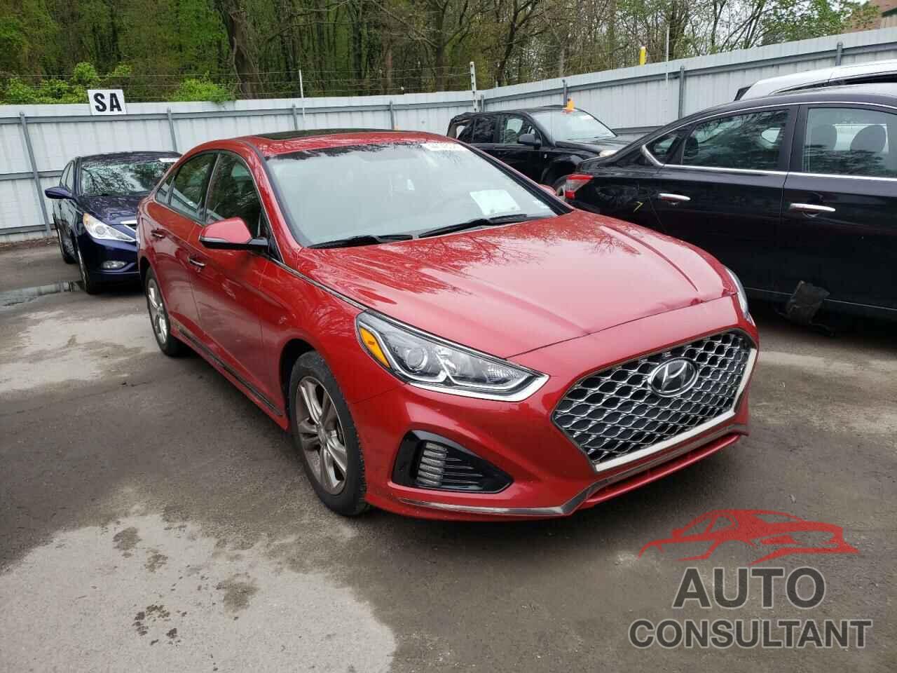 HYUNDAI SONATA 2019 - 5NPE34AF3KH806735