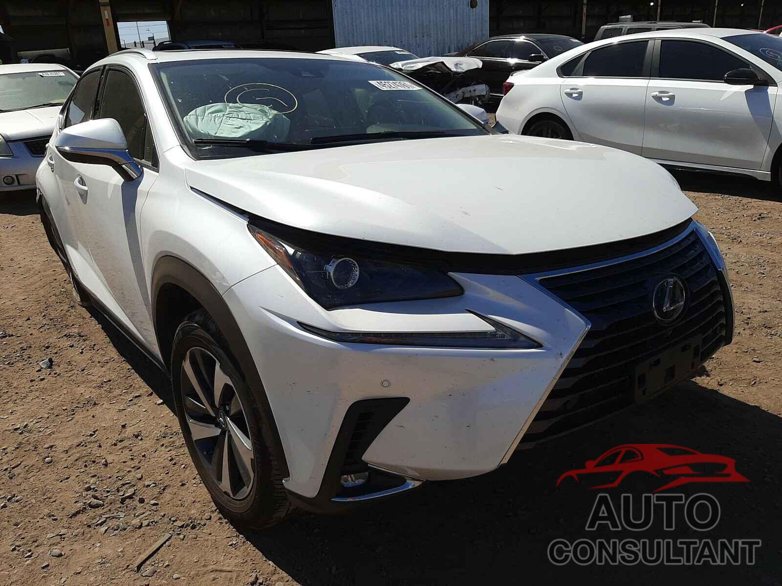 LEXUS NX 2020 - JTJGJRDZ1L2144073