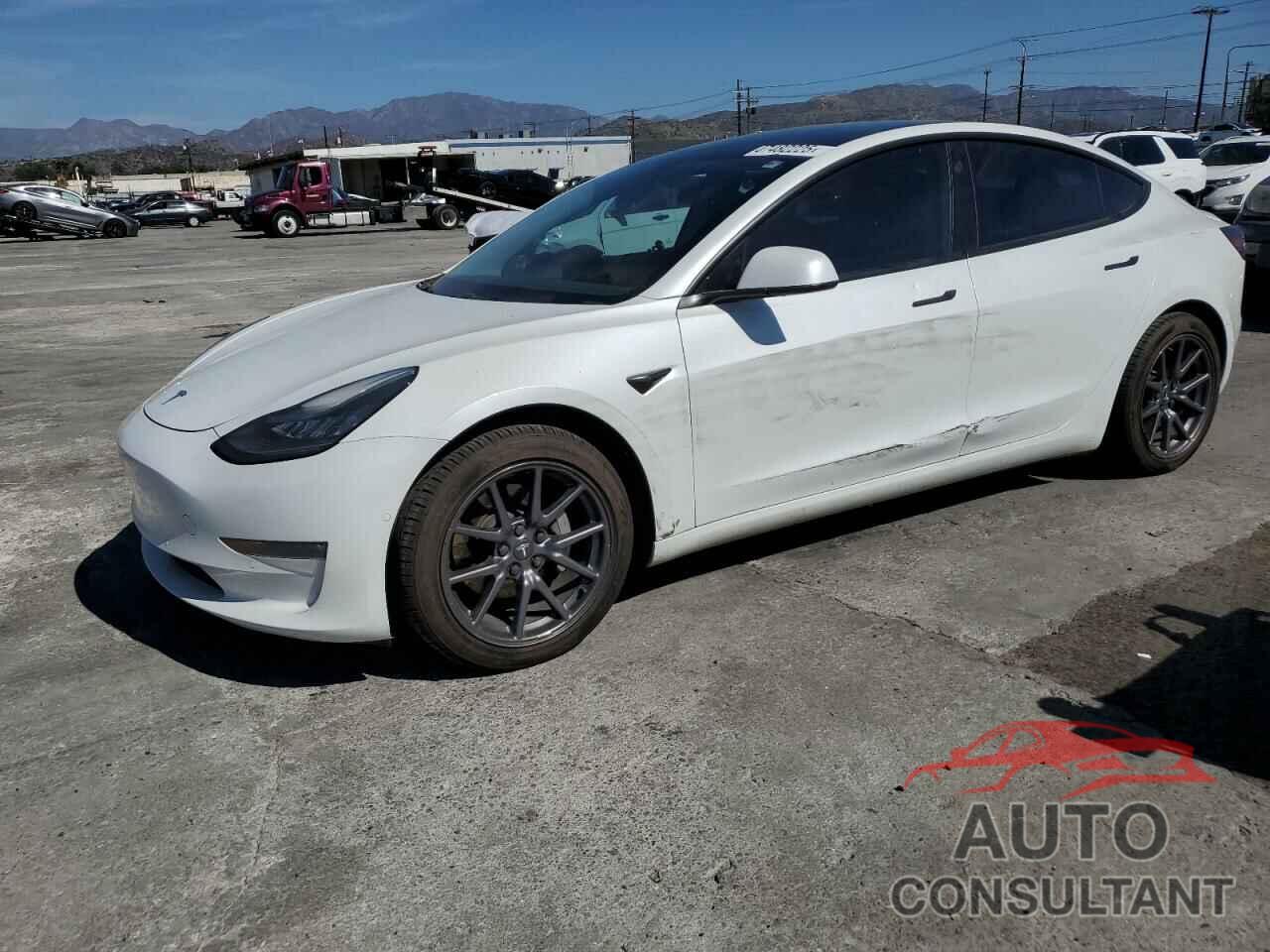TESLA MODEL 3 2019 - 5YJ3E1EB1KF433510