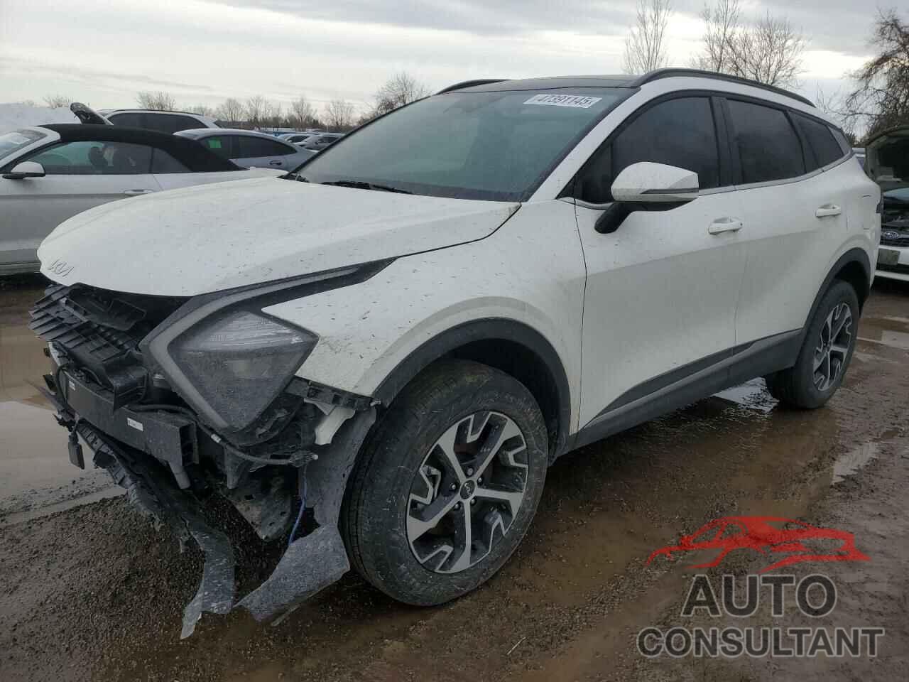 KIA SPORTAGE 2025 - KNDPVCDF9S7367635