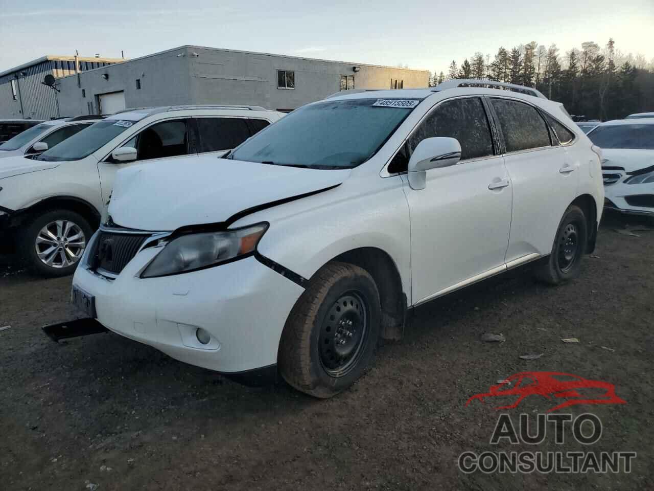 LEXUS RX350 2010 - 2T2BK1BA4AC053107