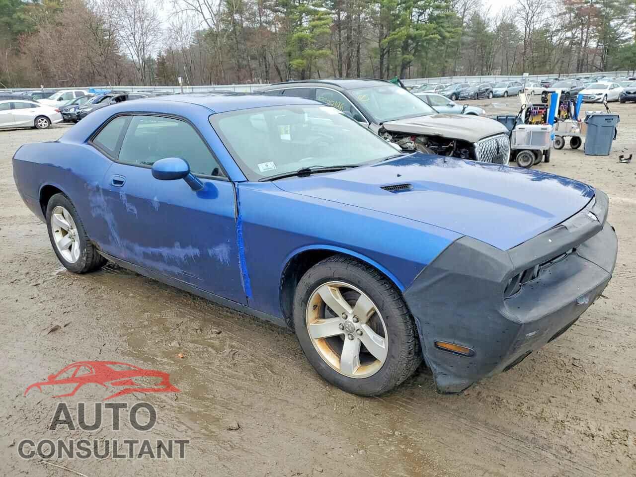 DODGE CHALLENGER 2010 - 2B3CJ4DVXAH217738