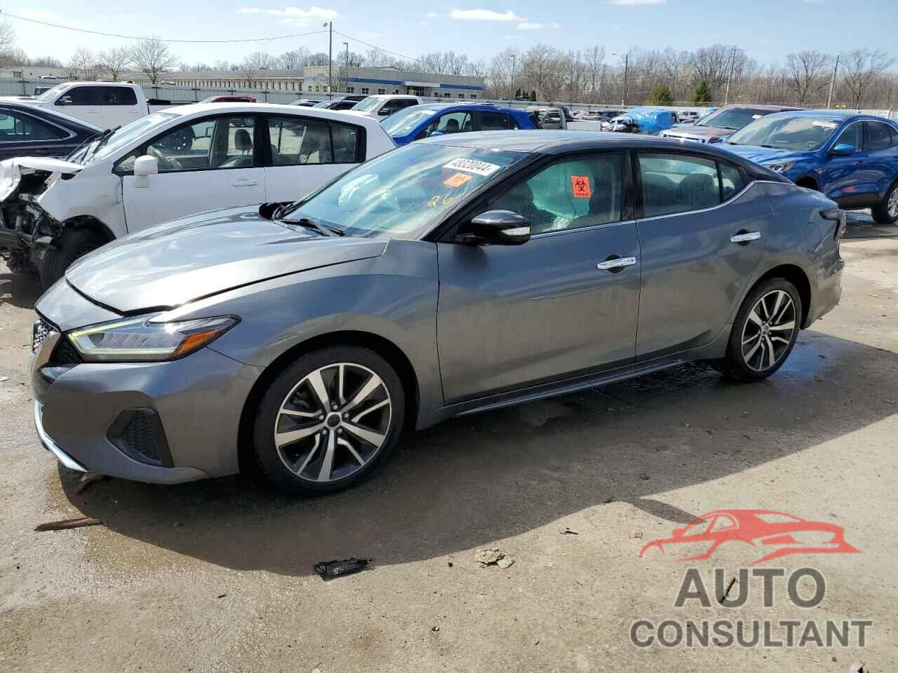 NISSAN MAXIMA 2019 - 1N4AA6AV5KC379857