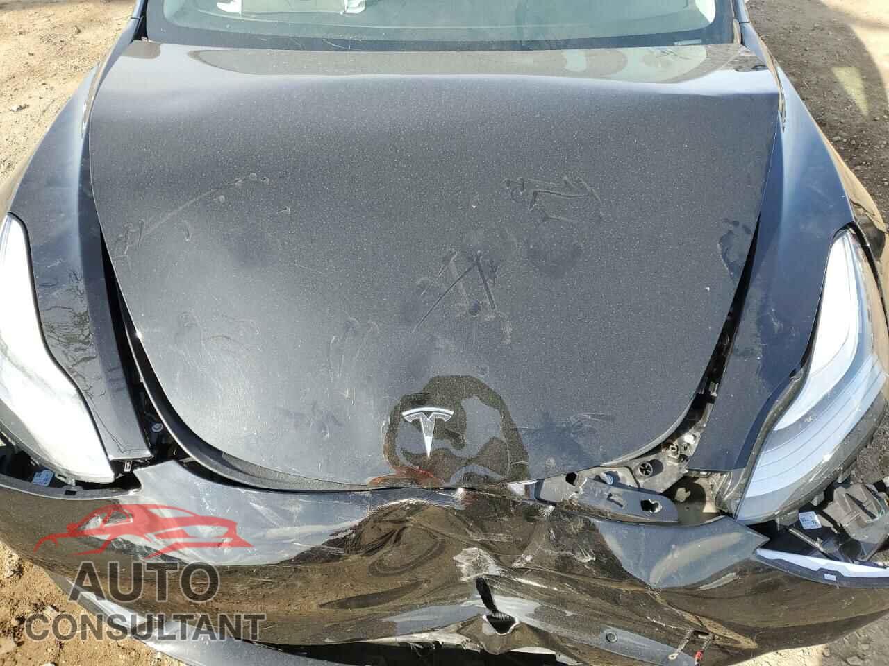 TESLA MODEL 3 2019 - 5YJ3E1EA3KF399335