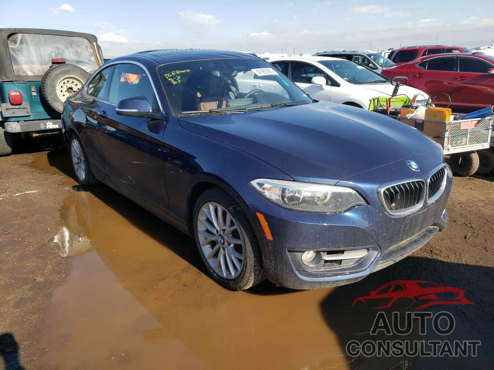 BMW 2 SERIES 2016 - WBA1G9C57GV726086