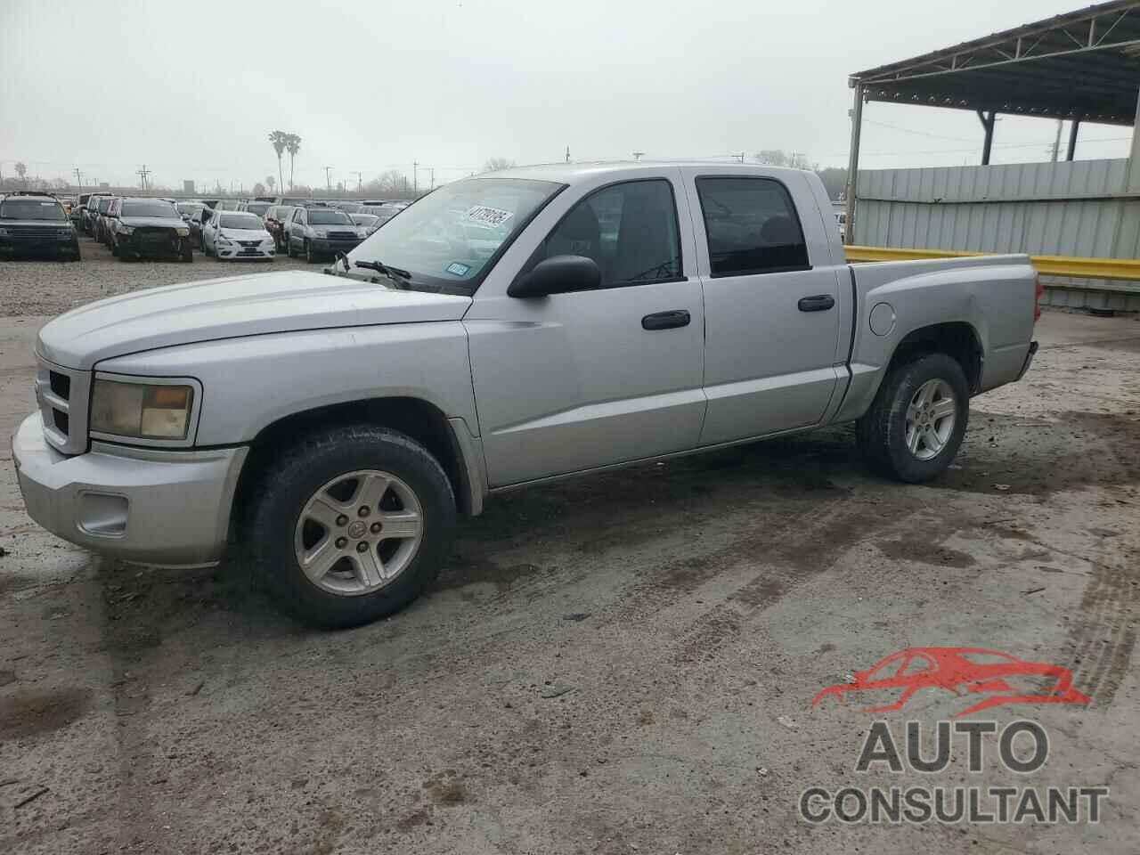 DODGE DAKOTA 2011 - 1D7RE3GK7BS653553