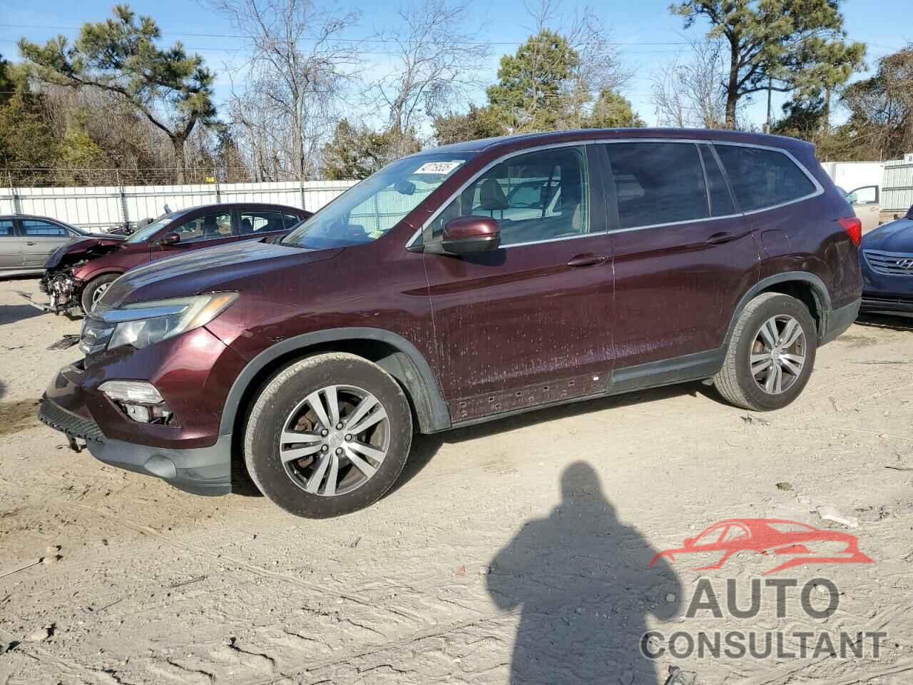HONDA PILOT 2016 - 5FNYF5H55GB047678