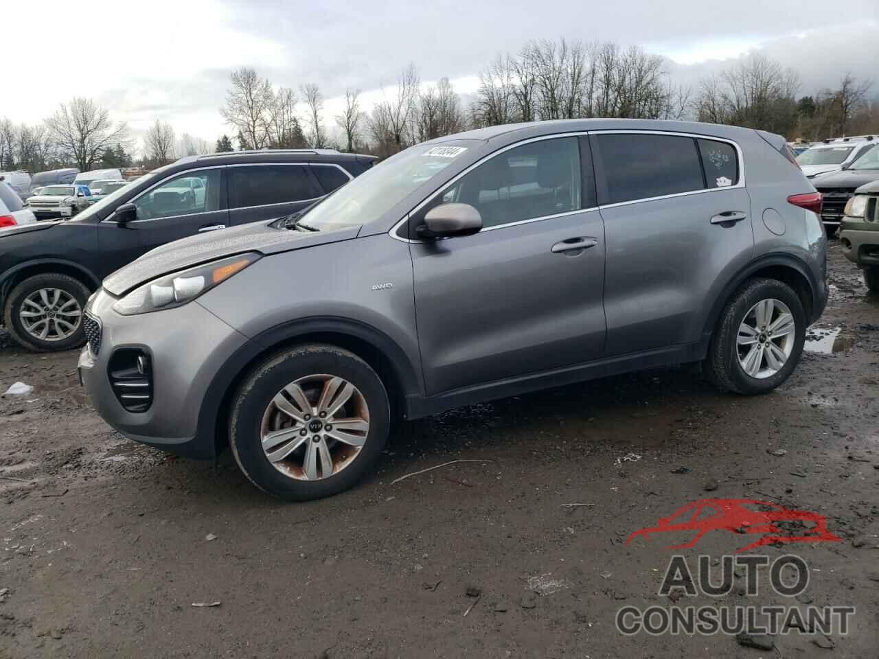 KIA SPORTAGE 2017 - KNDPMCAC5H7131070