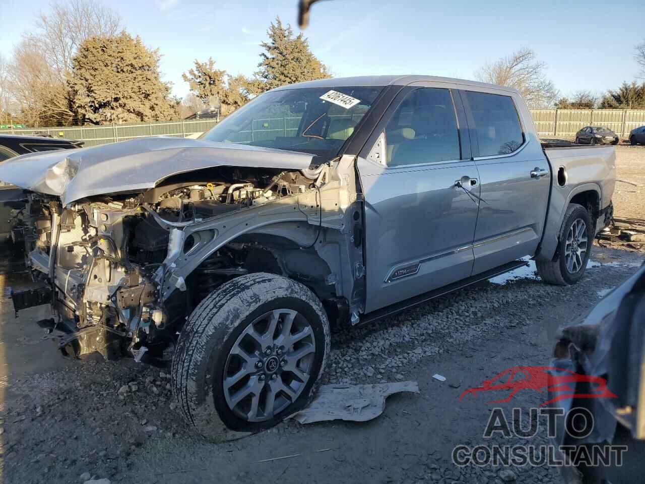 TOYOTA TUNDRA 2024 - 5TFMA5AB8RX035076