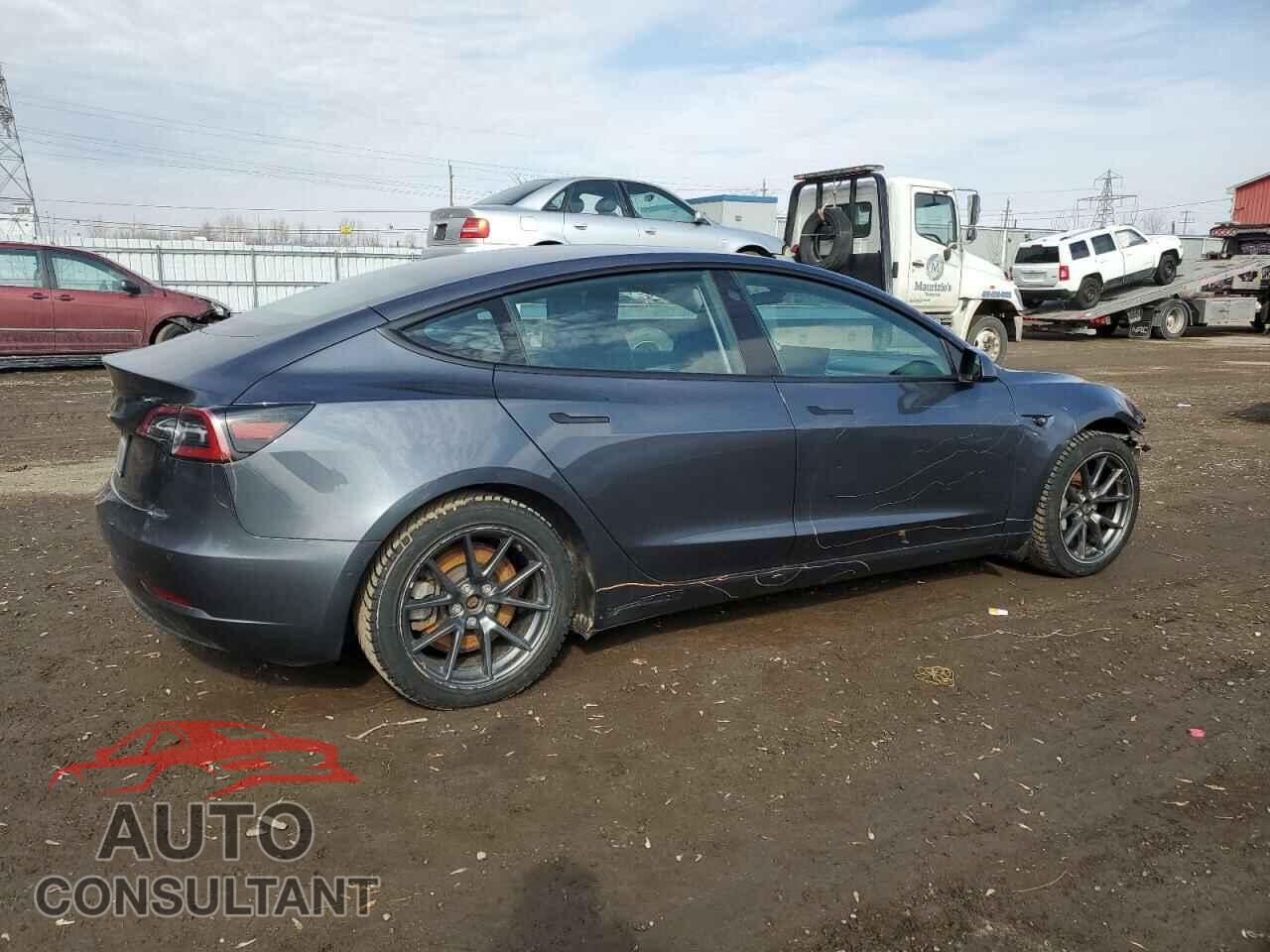 TESLA MODEL 3 2021 - 5YJ3E1EA2MF973930