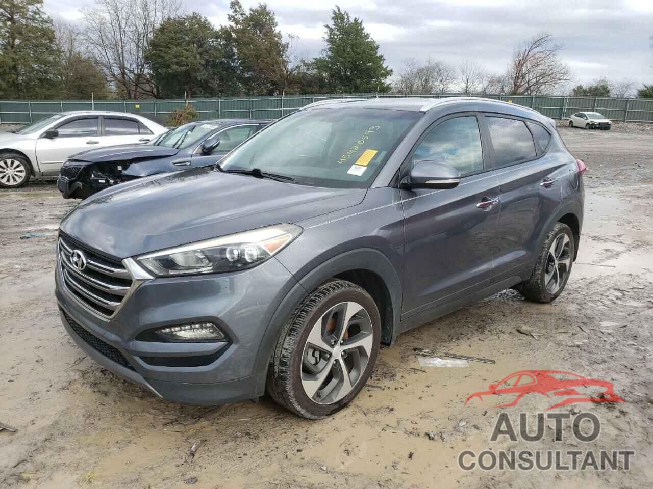 HYUNDAI TUCSON 2016 - KM8J33A20GU241472